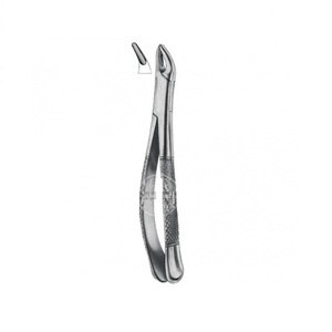 Tooth Forceps - Product Image 4
