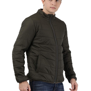 Vestes d'hiver matelassées pour hommes, décontractées, fines, à capuche, écologiques, respirantes, fermeture éclair, service OEM, impression en relief, taille XL - Product Image 3