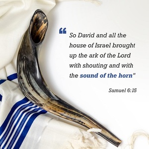 Kosher Natural Color Natural Forma Natural RAM HORN Shofar NUEVO. Increíble sonido MEJOR precio Bolsa de burbujas - Product Image 5