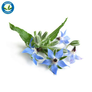 Aceite Esencial orgánico de buena calidad, 100% puro, Natural, de proveedor al por mayor - Product Image 4