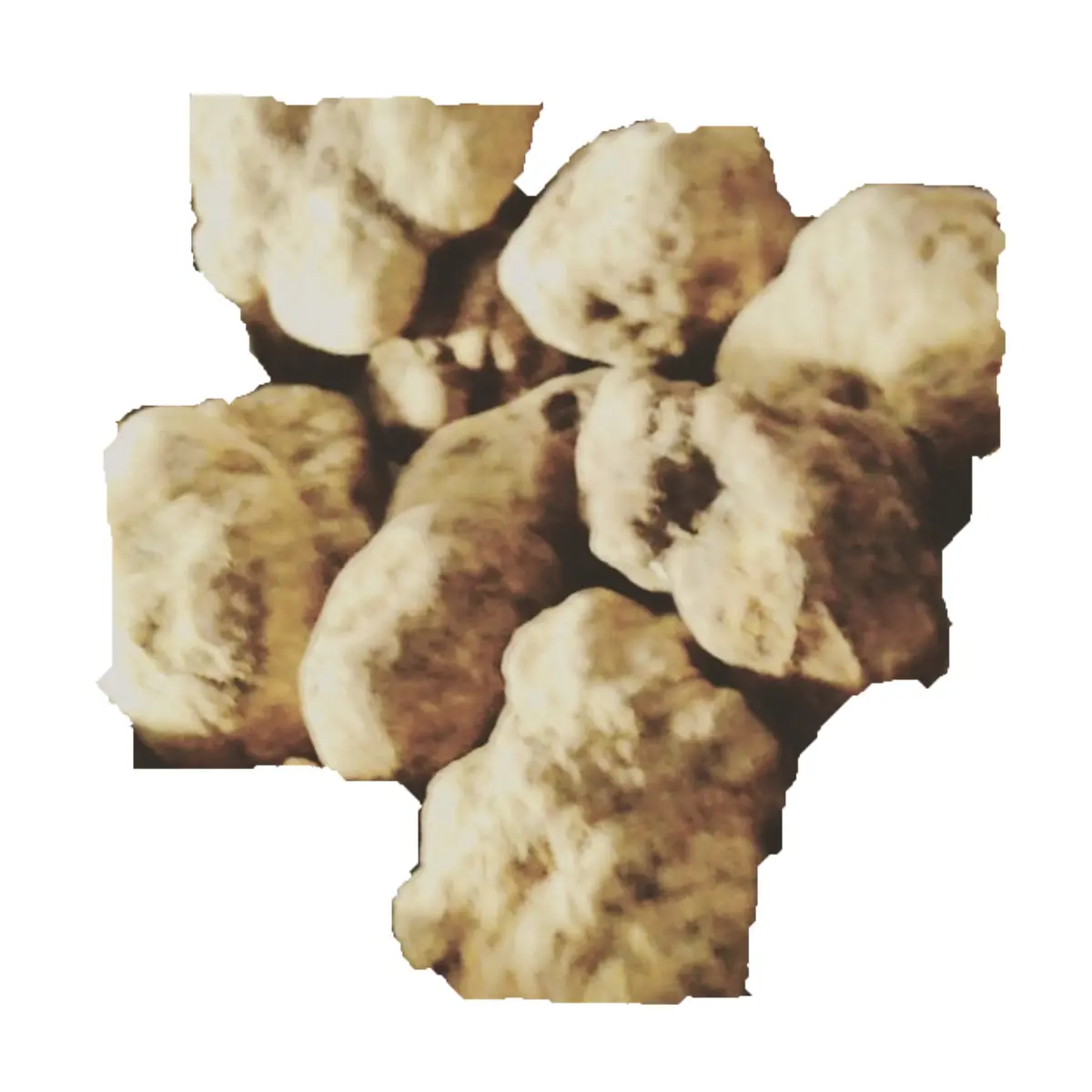 Cogumelos TRUFAS BRANCAS de ALBA ou BASILICATA ITALIANA tartufo di Basilicata OEM a MELHOR QUALIDADE DOS ALIMENTOS ORGÂNICOS