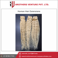 Ekstensi rambut manusia rambut mentah India transaksi panas pada 100% rambut Virgin Remy bebas kusut rambut pirang India diterima dengan harga pasar rendah