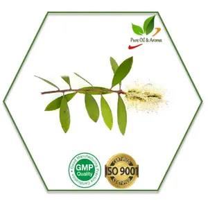 Aceite Esencial para aromaterapia, aceite 100% orgánico puro, fraccionado, grado terapéutico