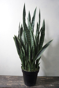 <span class=keywords><strong>Planta</strong></span> Artificial <span class=keywords><strong>de</strong></span> Interior, Bonsái <span class=keywords><strong>de</strong></span> Plástico, <span class=keywords><strong>Planta</strong></span> <span class=keywords><strong>Serpiente</strong></span>/Sansevieria/Agave, Ecológica, Duradera, Sin Necesidad <span class=keywords><strong>de</strong></span> Cuidado - Product Image 3