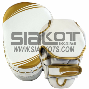 Mitaines de mise au point MMA et muay thaï, kick boxing, boxe, 149 - Product Image 1