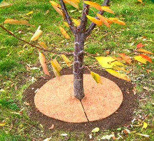 Anneau de paillis en fibre de coco, tapis de paillis en fibre de coco carré, tapis de paillis en fibre de coco pour le jardinage et l'agriculture biologique - Product Image 3