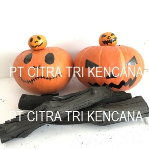 NEW YEAR 2020 CELEBRATION SALE HALABAN CHARCOAL BBQ GRILL 5-10 CM LONG, INDONESIA CHARCOAL Tauranga NEW ZEALAND - Product Image 3