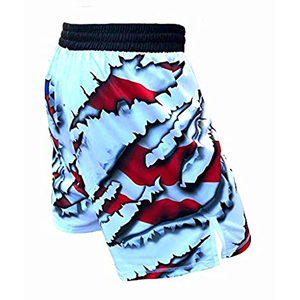 Shorts MMA unisexe en Spandex/Polyester à sublimation intégrale Formula1 Industries 2026 – Meilleure vente - Product Image 3