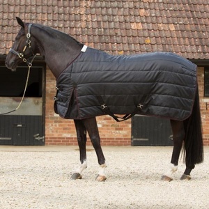 Manta para Caballo de Invierno de Lujo, Cuello Estándar, Relleno de Algodón, Impermeable, Herrajes de Acero Inoxidable, Cómoda, Último Modelo Personalizado - Product Image 1