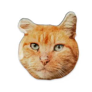 Pinos de esmalte personalizados de gato, lembrança, em forma de gato, offset