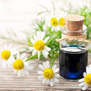 Mejor Proveedor de manzanilla alemana, venta al por mayor, India - Product Image 1