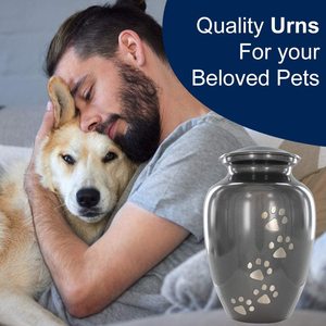 American Style White 18 Pink Type Metal Coffin <b>Casket</b> Funeral Supplies Sale-ANA Ceremony Urns Pet Memorial Cremation <b>Ashes</b> Usage - Product Image 4