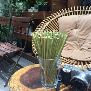 ENVIRONMENTALLY FRIENDLY/ DRINKING STRAWS - Product Image 1