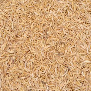 rice husk