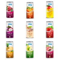 Premium 240ml Natuurlijk gearomatiseerde watermeloen fruitsap puree in fles Private Label merk Geblikte dranken ISO gecertificeerd
