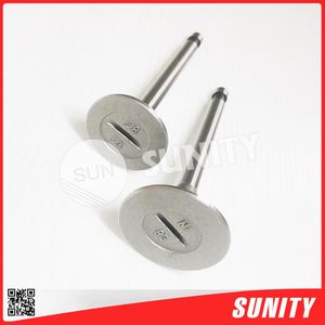 Sunity ไต้หวัน KND80วาล์วในอดีตสำหรับเครื่องยนต์กำเนิด KND80 - Product Image 2