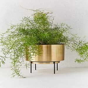 Jardinières et pots de fleurs en tôle de fer plaquée or lot de 2 seaux et ports avec support présentoir au sol porte-plantes - Product Image 5