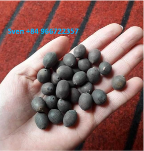 Semillas de loto secas de color negro, venta al por mayor, el mejor precio, 84 966722357 - Product Image 6