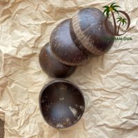 Ensemble de vaisselle écologique en coquille de noix de coco 100% naturelle avec kit d'ustensiles - Marque COCO-ECO - Design minimaliste pour les voyages et les pique-niques