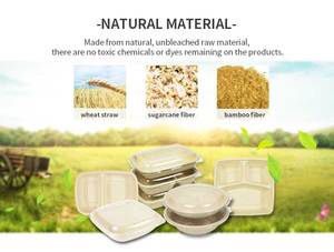 Boîte alimentaire rectangulaire de 700 ml <span class=keywords><strong>en</strong></span> bagasse de canne à sucre biodégradable avec couvercle <span class=keywords><strong>en</strong></span> PP - Product Image 4
