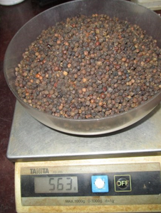 Poivre noir de haute qualité certifié HACCP 550GR/L du Vietnam, séché à l'air, brut, style ASTA, nettoyé à la machine/en spirale - Product Image 2