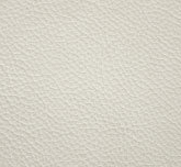 monza 113 white