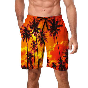 2026 New Mens Beach <b>Shorts</b> Quick Dry <b>Swim</b> <b>Trunks</b> Lightweight Summer <b>Board</b> <b>Shorts</b> With Elastic Waist And Drawstring - Product Image 2