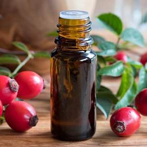 Huile essentielle de Wintergreen certifiée GMP, distillée à la vapeur à partir de feuilles du Népal, huile essentielle pure par Aarnav Global Exports - Product Image 1