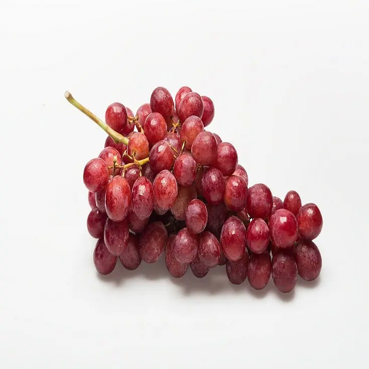 Grapes / 2021 Organic Grapes for Grape