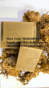 Wild Crafted <b>Irish</b> <b>Soap</b> Natural Handmade for Beautiful Body / 100% Natural Sea Mos <b>Soap</b> Origin Vietnam / Shyn Tran +84382089109 - Product Image 4