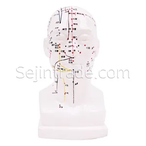 Akupunktur iğnesi hastaneler anatomik insan modeli kauçuk kafa Model 22cm masaj kliniği moxa çin ilaç modeli