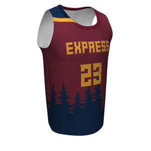 Endeavour-Camiseta y pantalones cortos de baloncesto, prenda personalizada con sublimación completa, Océano, Unisex, OEM - Product Image 1