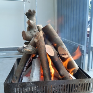 ฟืนแบบเม็ดแห้งธรรมชาติห่อไม้ลิ้นจี่แบบแข็งบรรจุในถุงจากเวียดนาม - Product Image 4