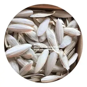 Export Standard Cuttlefish Bone/ Crushed Cuttlefish from Vietnam with The Best Price Ms Lily +84 906927736