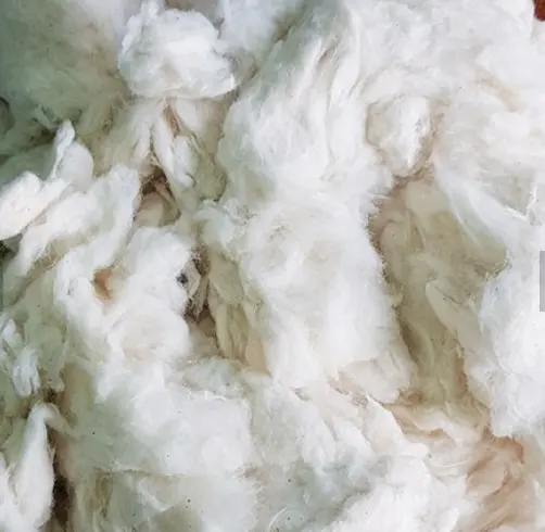 Cotton Comber Noil, Bleached Cotton, Cotton Waste - Ms. Claire