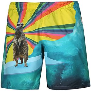 Shorts de sport coupe cintrée pour hommes, nouveaux pantalons courts de course à pied et de fitness - Product Image 5