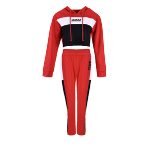 Hot Style Women Fleece Made Hoodies Sets With Crop Pullover Style / Custom Logo Printing - Product Image 5