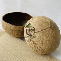 Bols en coquille de noix de coco, naturelle de conception en coquille de noix de coco, ensembles de vaisselle pour les voyages et les fêtes, produits écologiques durables