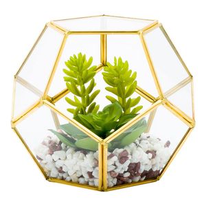 Artdragon 2020 Heimdekoration <span class=keywords><strong>Terrarium</strong></span>-Zubehör <span class=keywords><strong>DIY</strong></span> Glas-Pflanzenhaus Sechseckiges <span class=keywords><strong>Terrarium</strong></span> zum Verkauf - Product Image 6