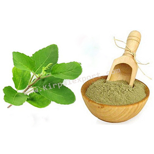 Véritable plante naturelle Triple raffinée meilleure qualité fabricant de poudre de tulli export - Product Image 4