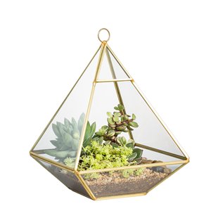 Hanging Geometric Glass Terrarium <b>Plants</b> - Product Image 1