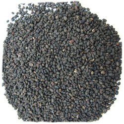 น้ำมันบาบีชิธรรมชาติแบบ100% - Product Image 5