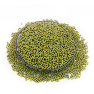 Green Mung Beans From Thailand for Food consumption at wholesale prices - Product Image 1