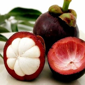 FRUTA DE MANGOSTEEN ORGÁNICA/FRESCA Y DELICIOSA en VIETNAM 2020 - Product Image 1