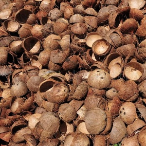 เค้กถั่วบด - Product Image 1