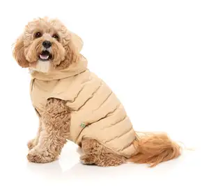 베이지 아스펜 재킷 편안한 모험 재킷 애완 동물 옷 개 재활용 애완 동물 옷