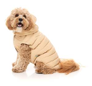 Chaqueta Aspen Beige para mascotas, cómoda chaqueta de aventura, ropa reciclada para perros - Product Image 1