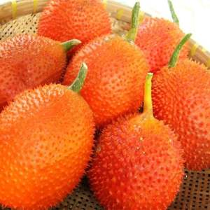 ธรรมชาติ GAC น้ำมันผลไม้สารสกัดจากเวียดนามที่ดีสำหรับสุขภาพ // JOLENE + 84336089155 - Product Image 6