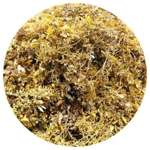 Algues sargasses séchées/poudre d'algues sargasses pour l'alimentation animale et les engrais Mme Lily - Product Image 1
