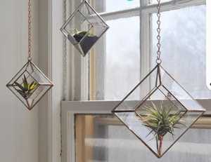 บ้านหรูสไตล์นอร์ดิกสีดำรูปร่าง Terrarium สำหรับตกแต่งบ้านโรงแรมสำนักงานและสปา - Product Image 2